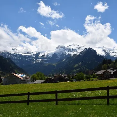 Steinbock # 2 *